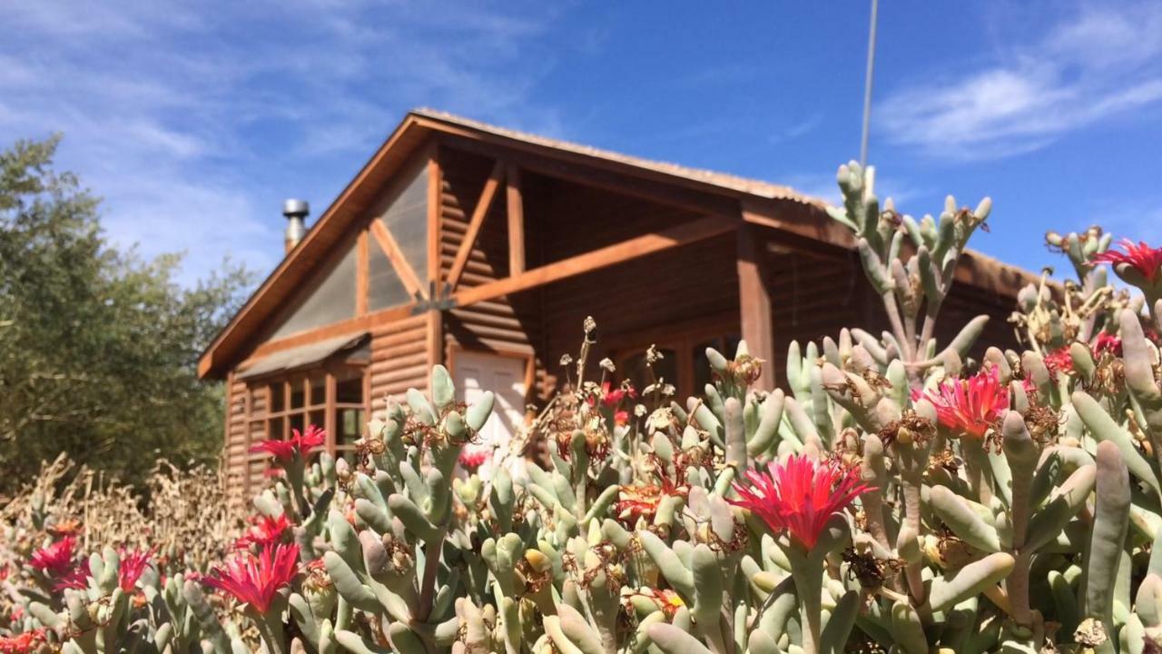 Cabanas Dona Juanita San Pedro de Atacama Exterior foto